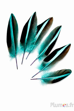 Anatra Madagascar - 12-14 cm - smeraldo